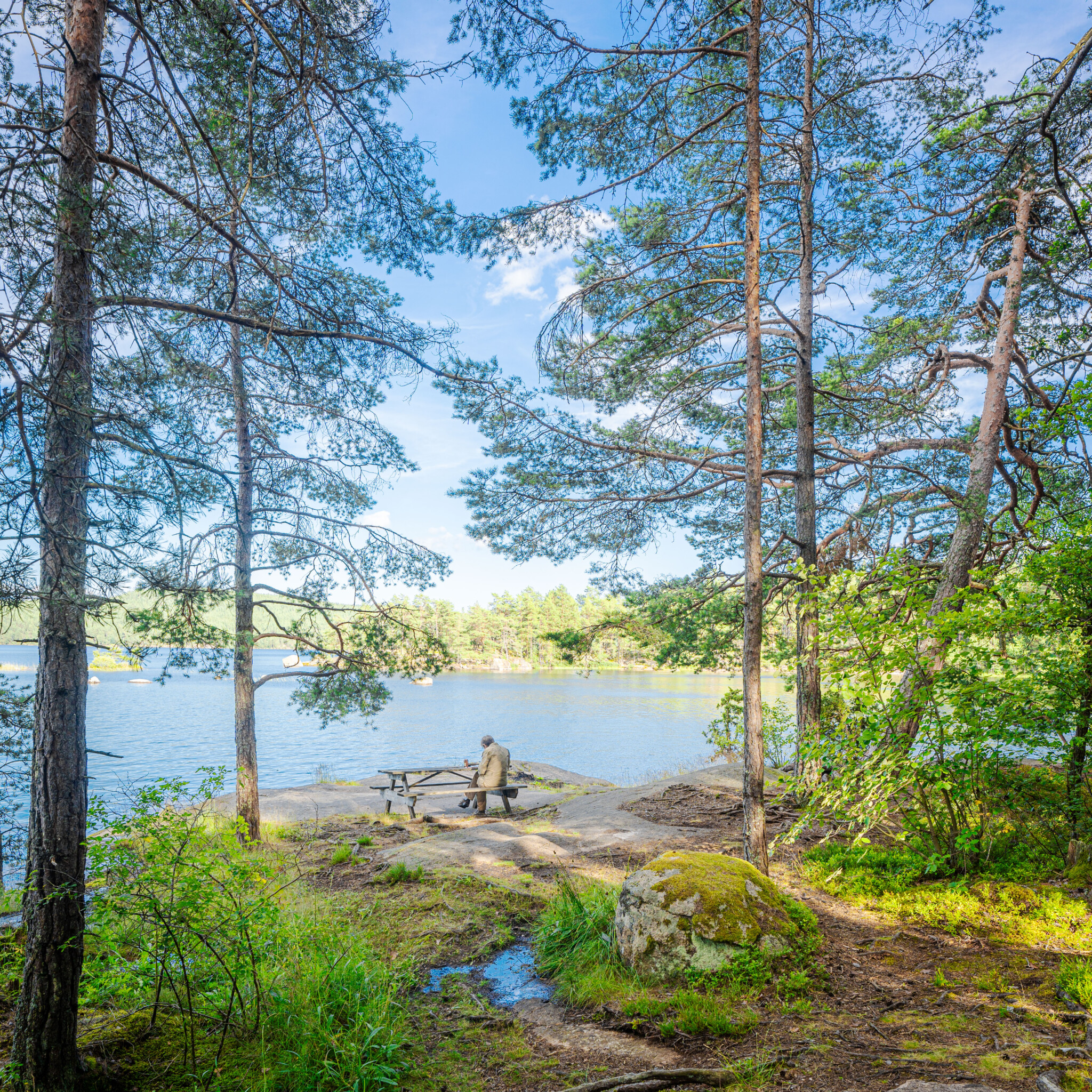 Person sitter på bänk vid vattnet bland tallar och grönska i Torpöns naturreservat, Ydre kommun, Östergötland