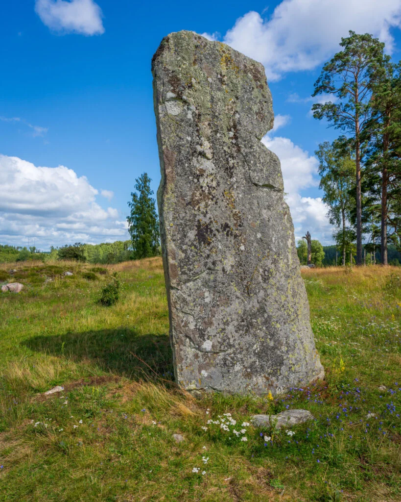 Stor rest sten på Ättekullshögen vid Håvesten, omgiven av blomrik betesmark med tallar och blå himmel i bakgrunden.