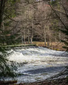 Höljerudsforsarna reservatslinga