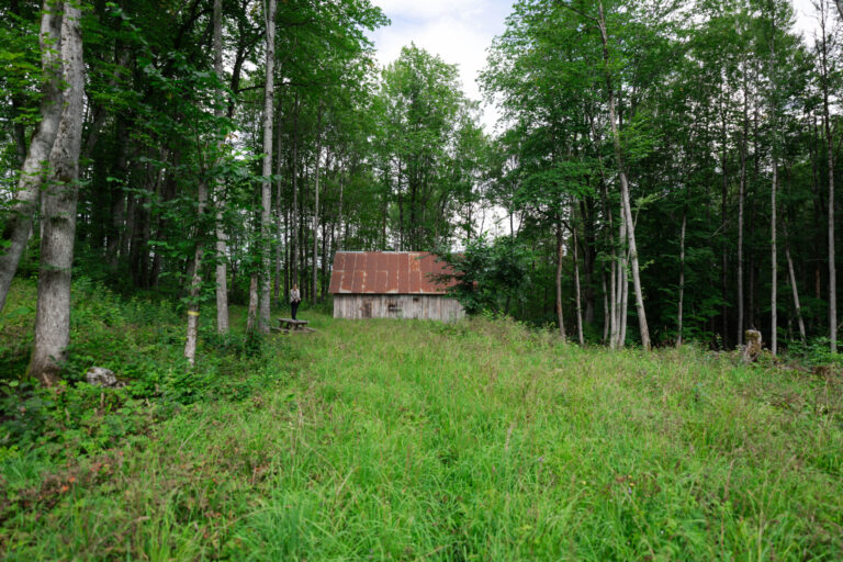 Gammal lada med plåttak omgiven av frodig lövskog och högt gräs i Dackehögens naturreservat, Dalsland