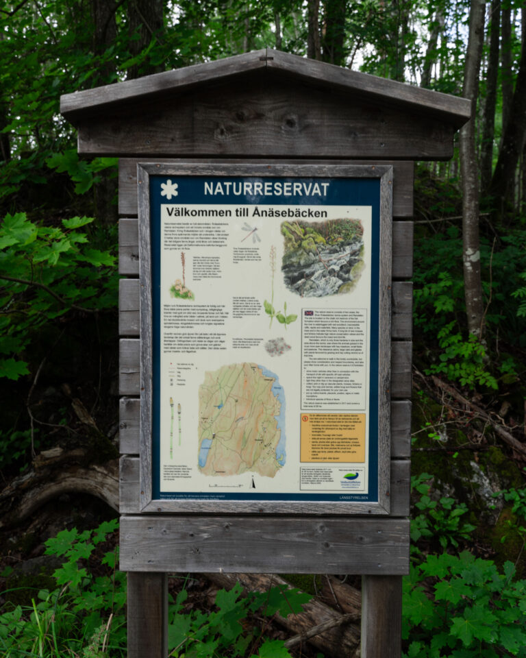 Informationsskylt i trä vid Ånäsebäckens naturreservat med karta, växtillustrationer och besöksinformation, omgiven av tät grön skog
