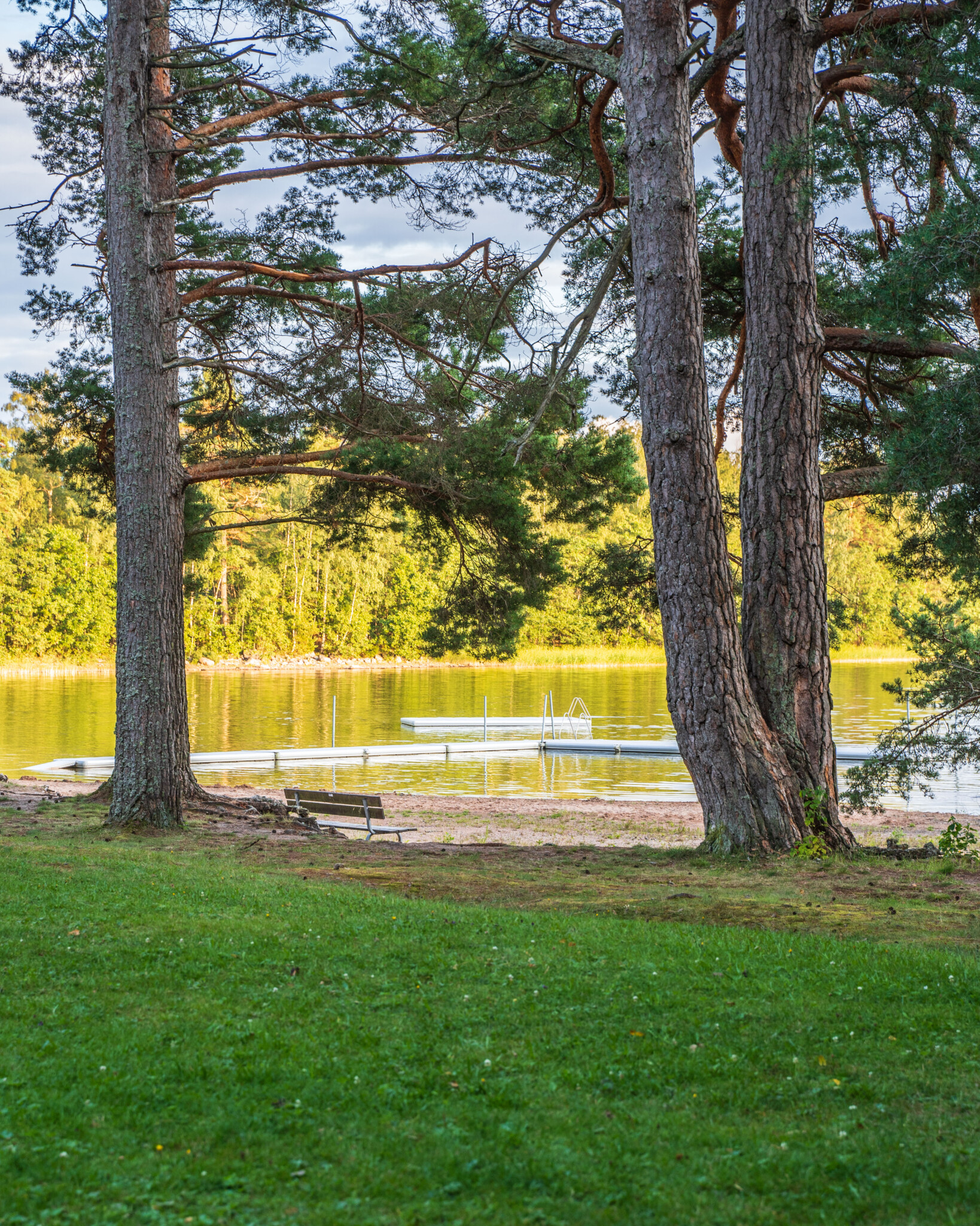 Klöverudsbadet vid Edsleskog – badplats med brygga, sandstrand och gröna gräsytor omgivna av höga tallar vid en stilla sjö.