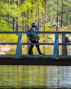 Vandrare korsar en träbro över stilla vatten i Tresticklans nationalpark, omgiven av vårgrön skog med tallar och björkar.