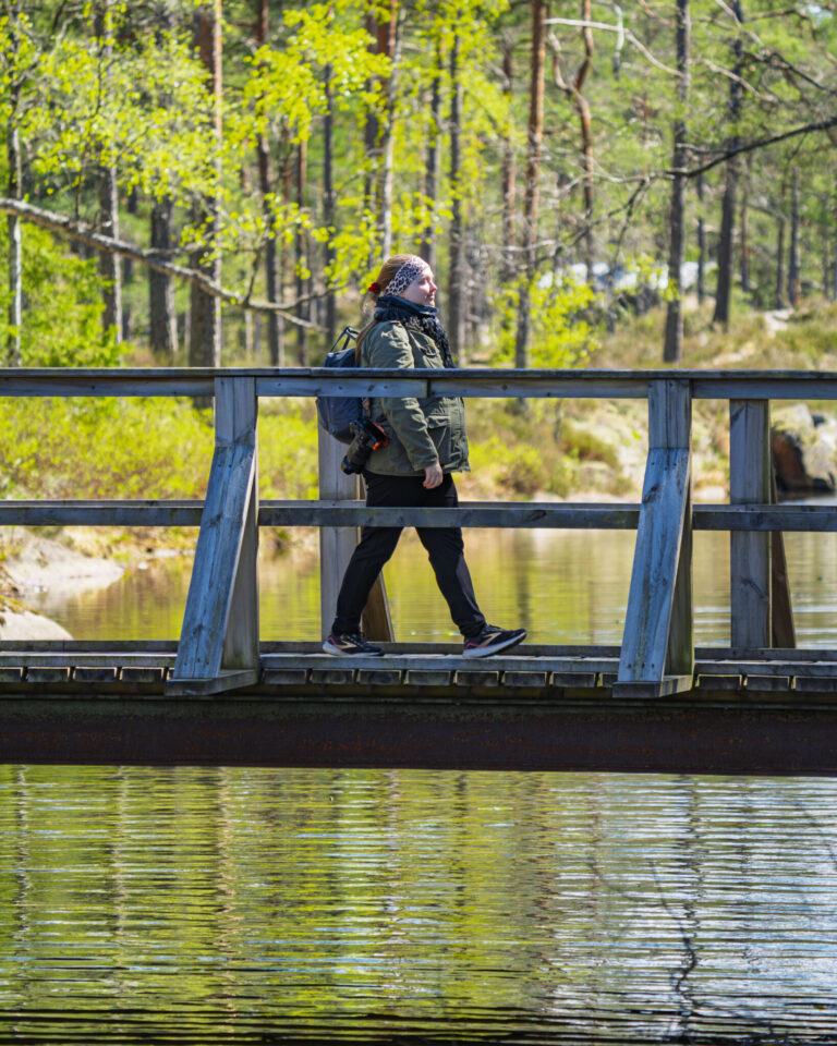 Vandrare korsar en träbro över stilla vatten i Tresticklans nationalpark, omgiven av vårgrön skog med tallar och björkar.