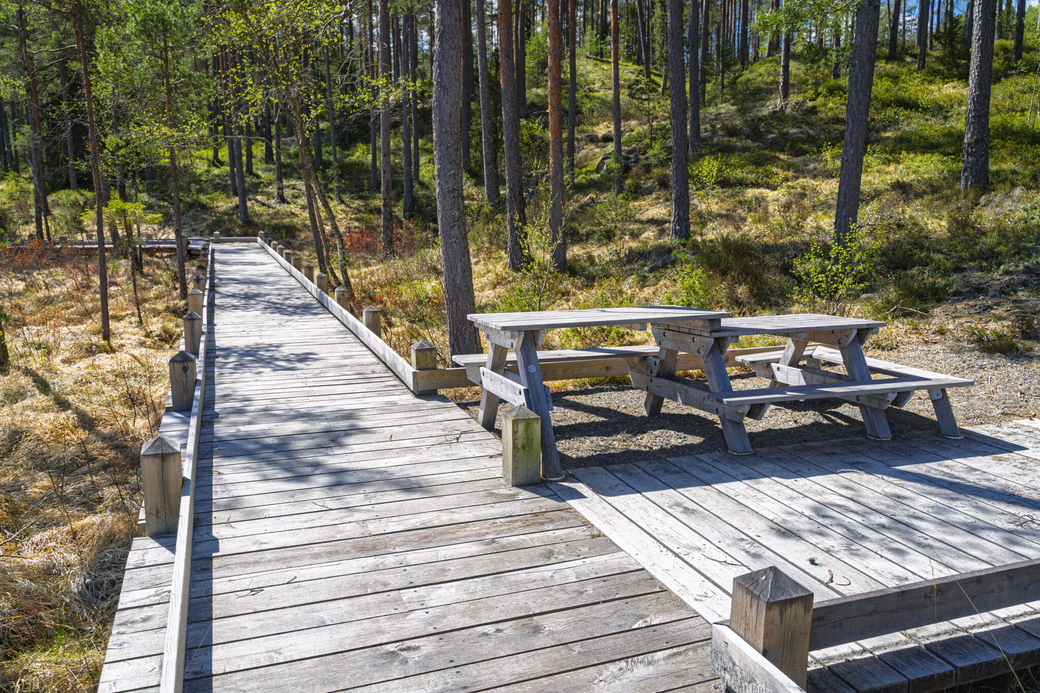 Träspång med rastplats och picknicbord i tallskog vid den tillgängliga vandringsleden i Tresticklans nationalpark, Dalsland
