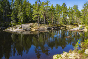 Stilla skogstjärn med spegelblanka reflektioner omgiven av tallskog och berghällar i Tresticklans nationalpark, Dalsland