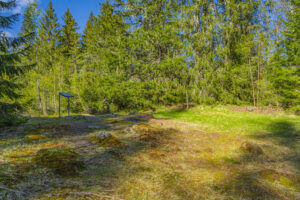 Glänta med mossbeklädd mark och informationsskylt längs Bråtaneleden i Tresticklans nationalpark, omgiven av tät granskog en solig sommardag
