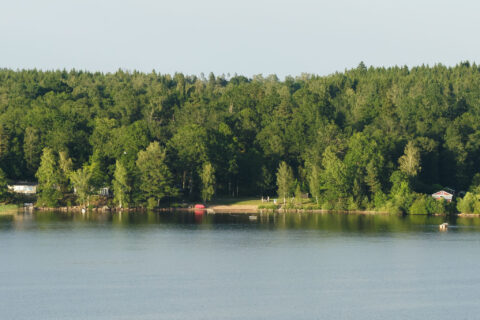 Lugn sjöstrand vid Tärenäs i Tranås med sandstrand, brygga och röd tältpaviljong omgiven av grön sommarskog.