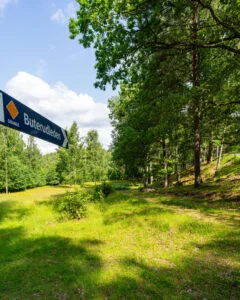 Skylt för Buterudleden (orange led) vid en grönskande stig genom sommargrön skog och äng i Buteruds naturreservat, Dalsland