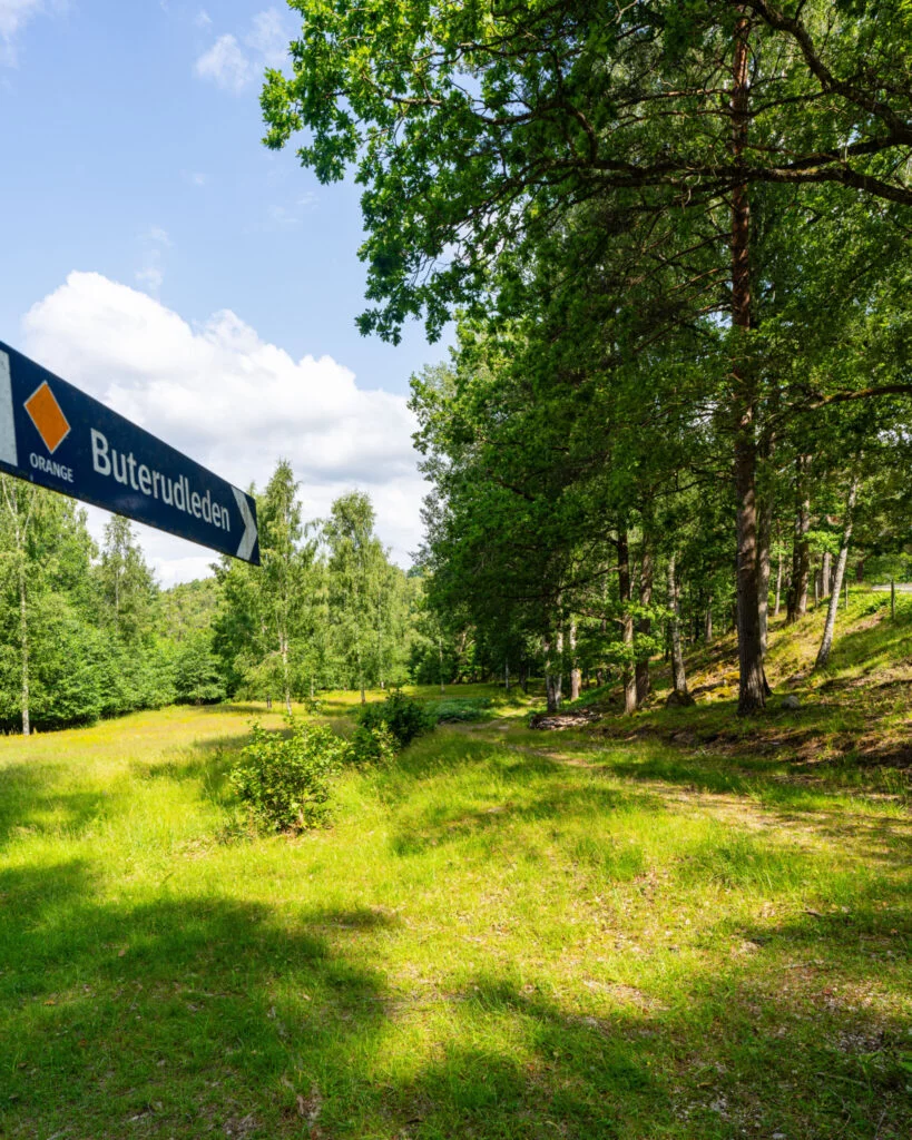 Skylt för Buterudleden (orange led) vid en grönskande stig genom sommargrön skog och äng i Buteruds naturreservat, Dalsland