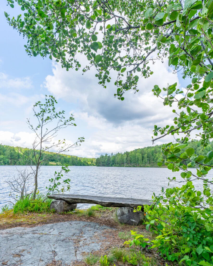 Bänk vid sjön i Buteruds naturreservat, omgiven av grönskande lövträd och med skogsklädd strand i bakgrunden, Dalsland