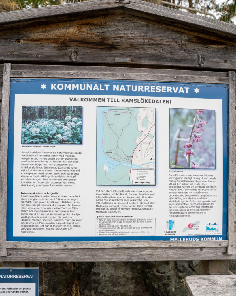 Informationsskylt vid Ramslökedalens kommunala naturreservat i Mellerud med karta, växtbilder och fakta om området.