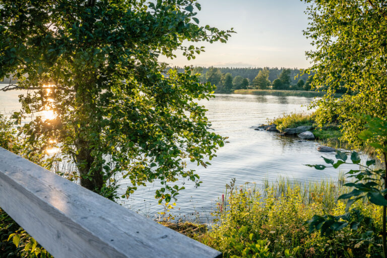 Sommarkväll vid sjön Råvarpen i Högsbyn, Dalsland, med solljus genom lövträd, grönskande strandvegetation och träräcke vid vattnet