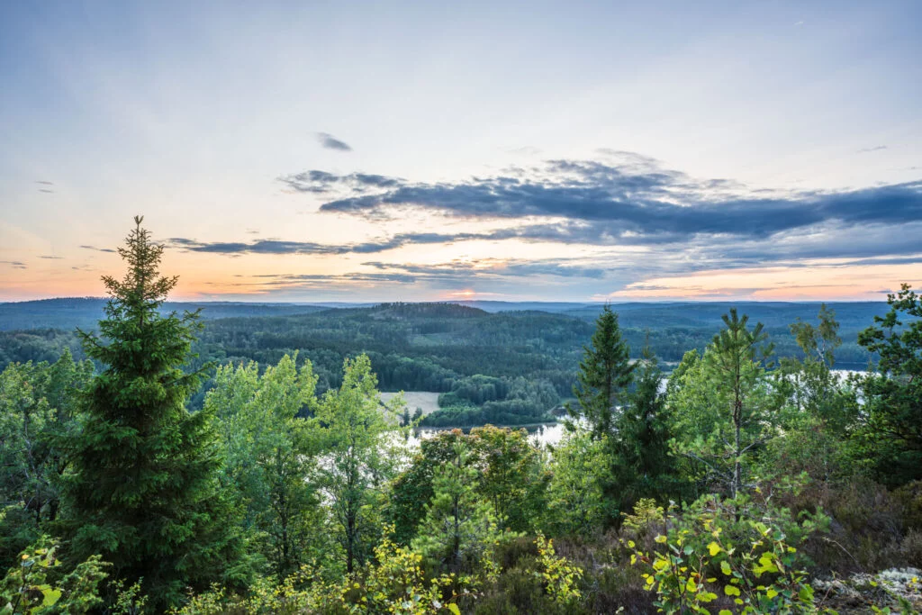 Panoramautsikt från Orsbergets topp över det kuperade Dalsländska landskapet med sjöar, barrskog och solnedgång vid horisonten