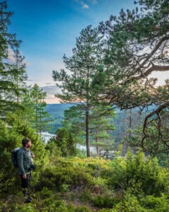 Vandrare blickar ut över det kuperade Dalsländska landskapet från Orsberget, omgiven av tallar och grön vegetation i kvällsljus.