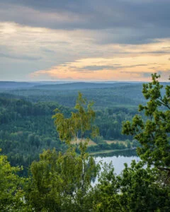 Utsikt från Orsberget i Dalsland över kuperat skogslandskap med sjö, björkar i förgrunden och dramatisk kvällshimmel.