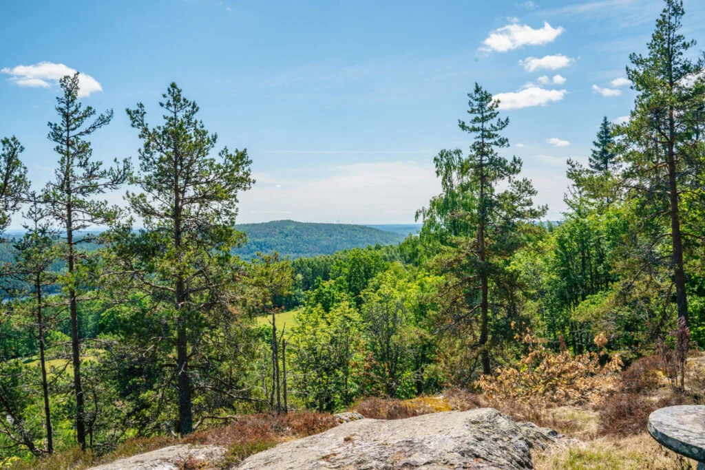 Utsikt över Dalslands skogslandskap från berghäll vid Linheden, med tallar, grön lövskog och kullar under blå himmel