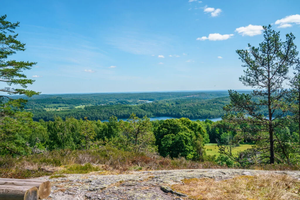 Vidsträckt utsikt från Linheden över Dalslands skogar och sjöar en solig sommardag, med berghäll i förgrunden och tallar på sidorna