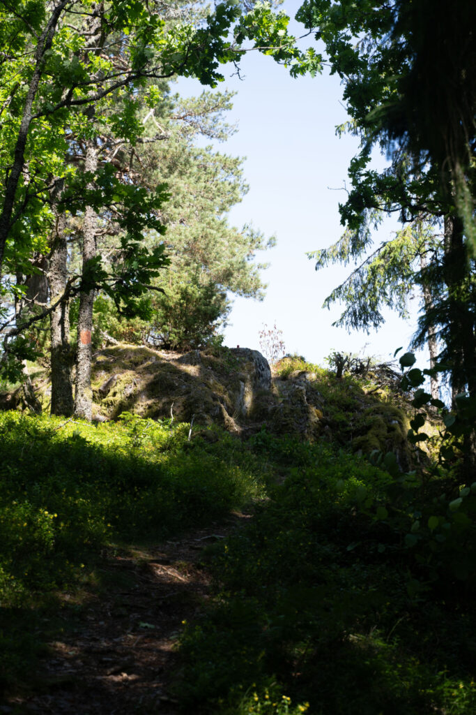 Smal skogsstig som leder uppför en mossbeklädd klippa omgiven av granar och lövträd i sommargrönska vid Linheden, Dalsland
