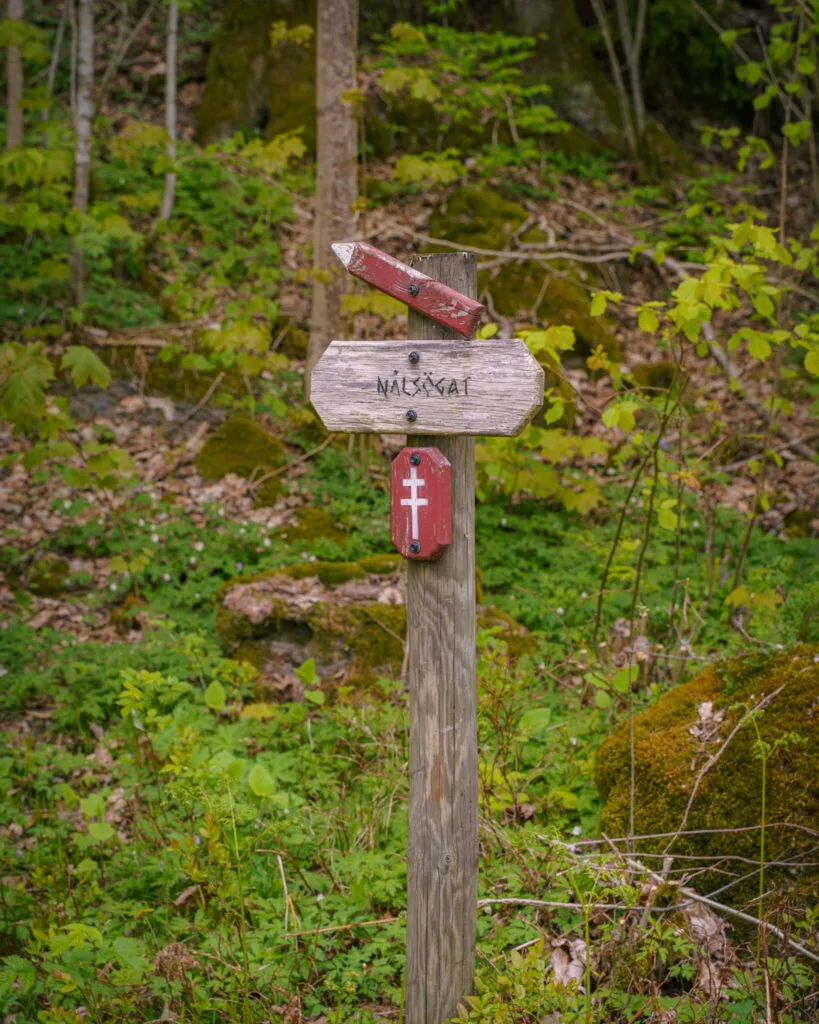 Vägvisare i trä med skylt mot Nålsögat längs Doktor Saedéns runda på Kroppefjäll, omgiven av grön lövskog