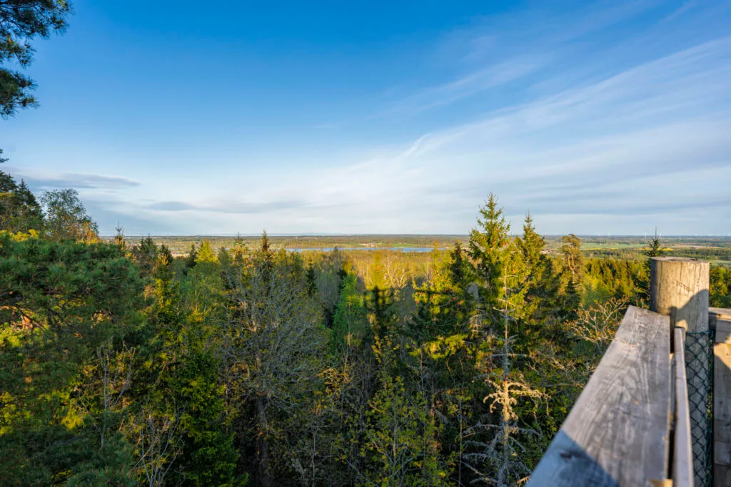 Utsikt från utsiktstornet vid Doktor Saedéns runda över Kroppefjälls barrskog med en sjö i horisonten, Dalsland