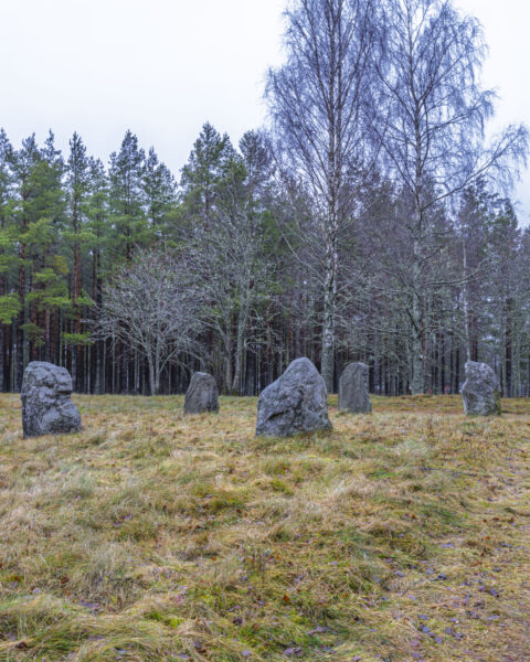 Ängs domarring med resta stenar på gräsmark omgiven av björkar och tallskog i Ängs naturreservat, Dals-Ed, Dalsland