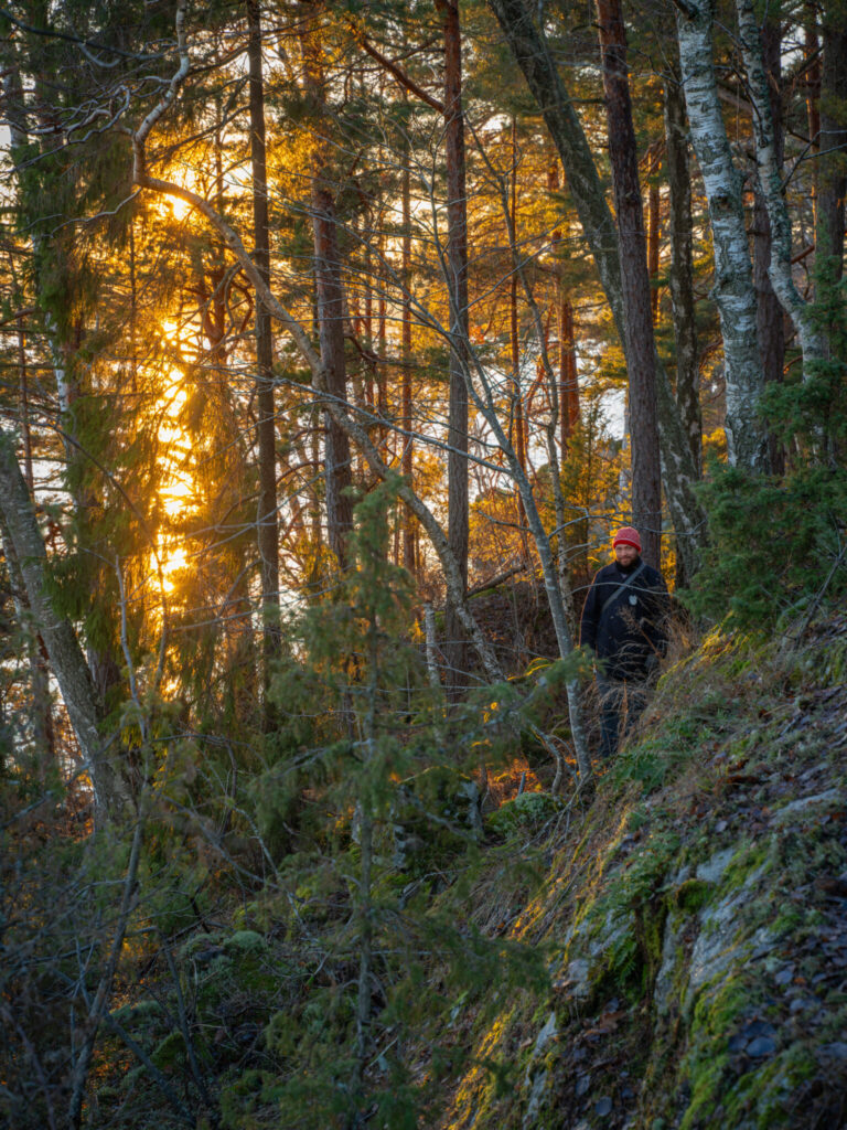 Person med röd mössa vandrar bland tallar och mossbeklädda klippor i solnedgång i Ösans naturreservat, Dalsland.