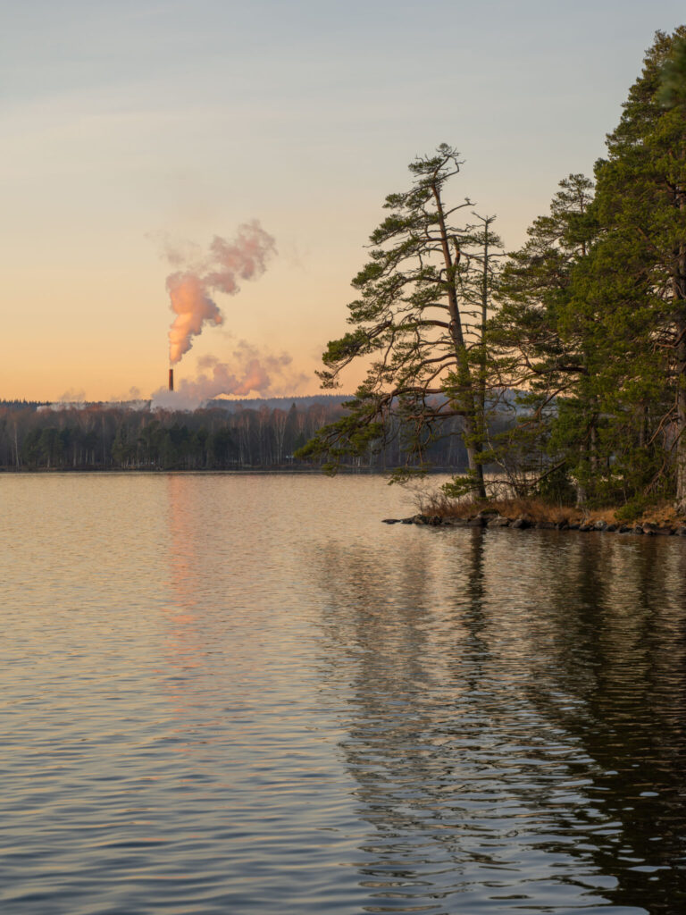 Lugn sjöstrand vid Laxsjön i Dalsland med tallar, speglat vatten och ett industriellt skorstensrök mot kvällshimlen.