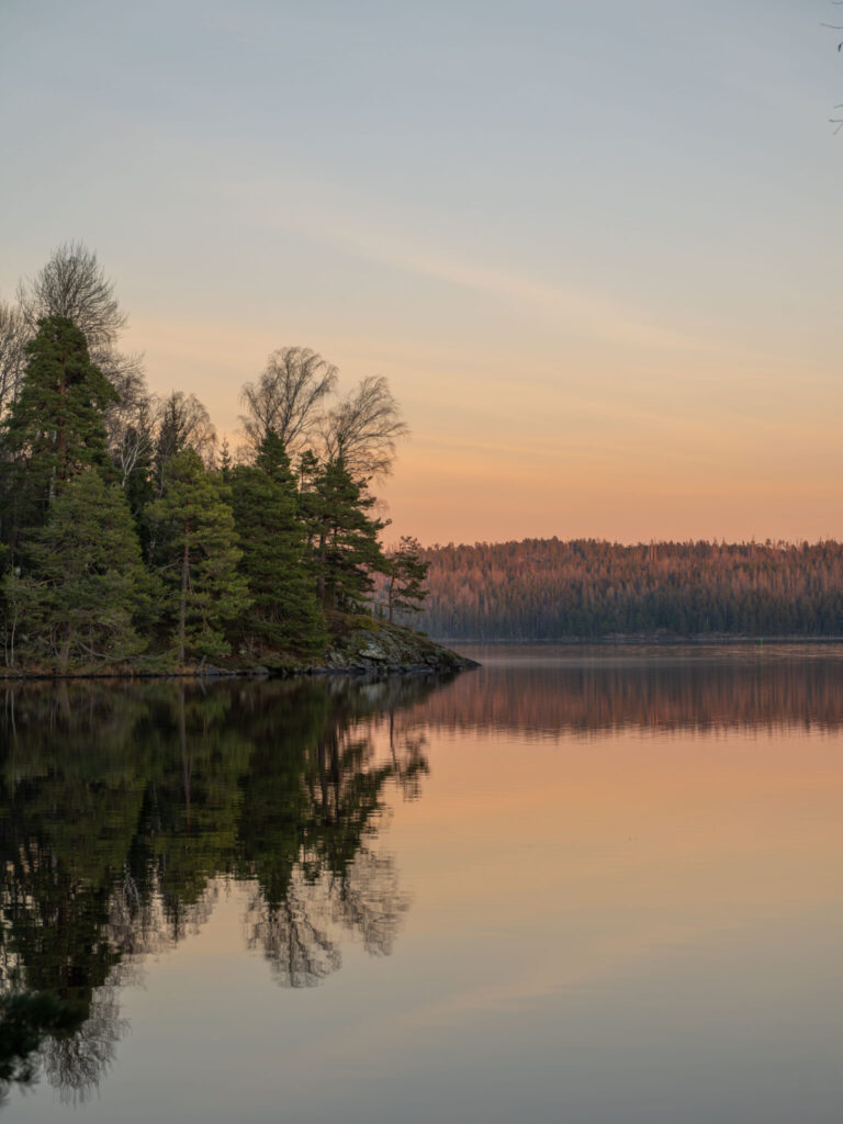 Spegelblank sjö vid solnedgång med tallbevuxen udde och skog i bakgrunden vid Laxsjön i Dalsland.
