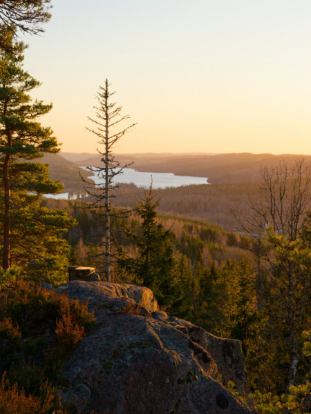 Utsikt från Åmålsberget vid solnedgång med barrskog, klippor och en speglande sjö i dalgången nedanför.