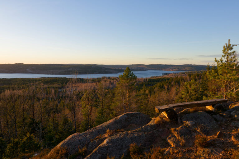 Utsikt från Åmålsberget över skogslandskap och sjö i kvällsljus, med en träbänk på klipphällen i förgrunden.