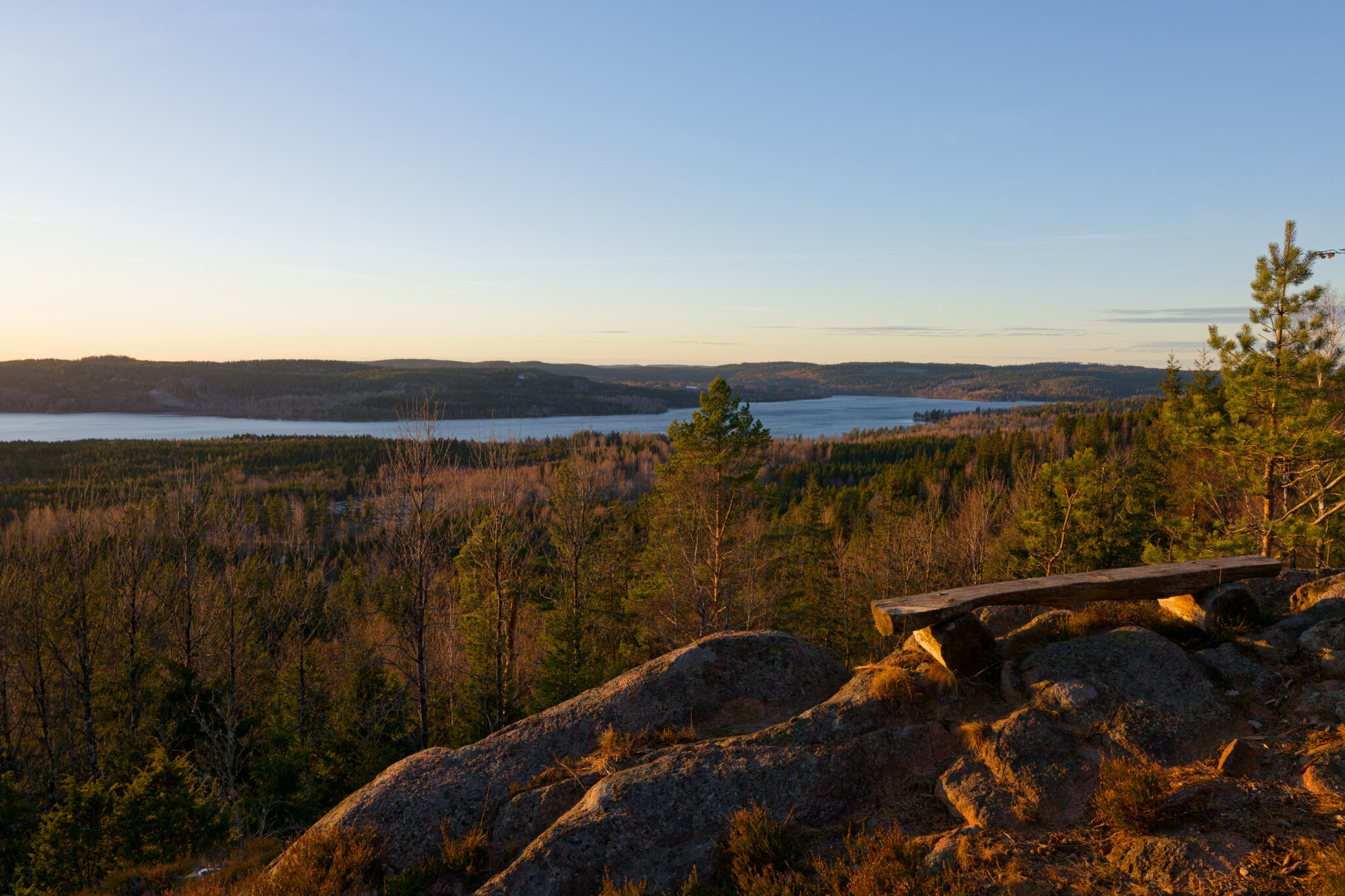 Utsikt från Åmålsberget över skogslandskap och sjö i kvällsljus, med en träbänk på klipphällen i förgrunden.