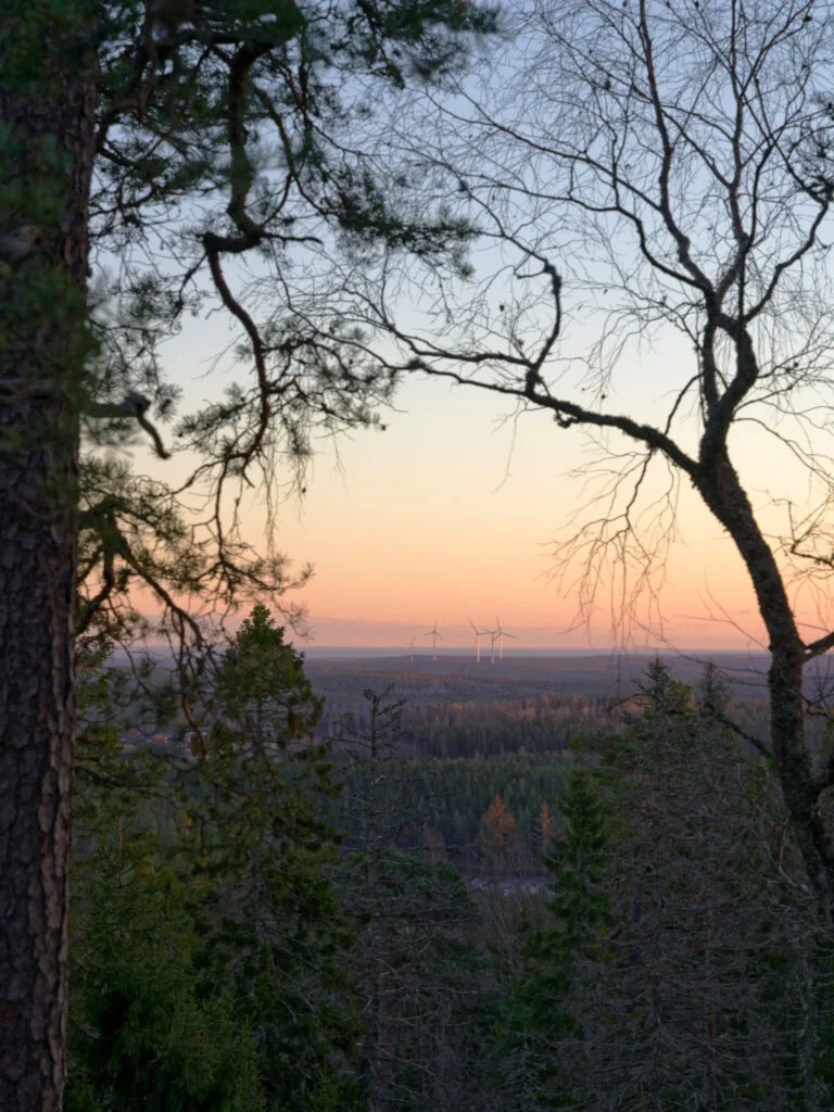Utsikt över skogsklädd dalgång med vindkraftverk i fjärran, sedd genom tallar vid solnedgång på Åmålsberget.