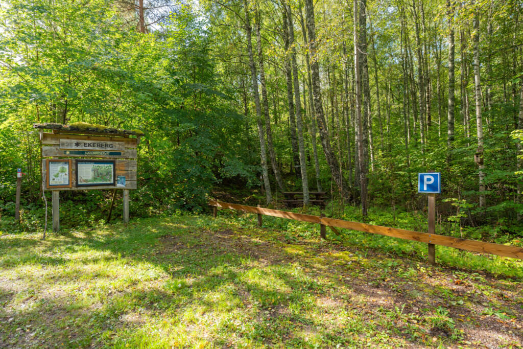 Informationstavla och parkeringsskylt vid entrén till Ekebergs lövskog, omgiven av grönskande björkar och lummig vegetation.