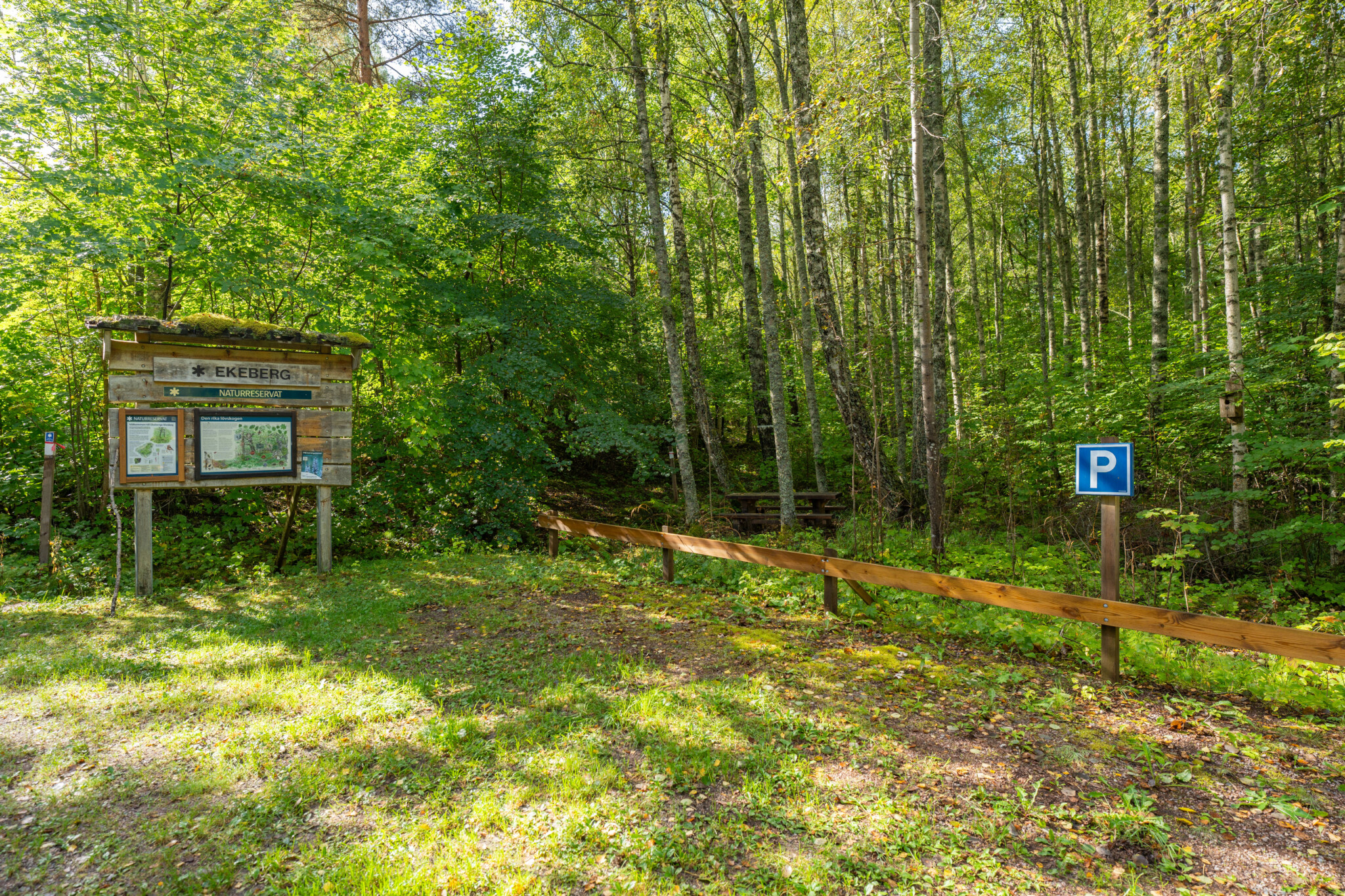 Informationstavla och parkeringsskylt vid entrén till Ekebergs lövskog, omgiven av grönskande björkar och lummig vegetation.