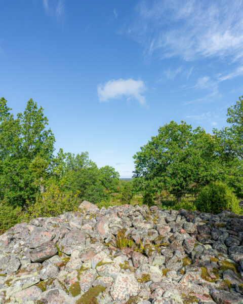 Forntida stensättning vid Smessorna nära Trehörna, med lavklädda stenar, gröna lövträd och blå himmel över Östergötland