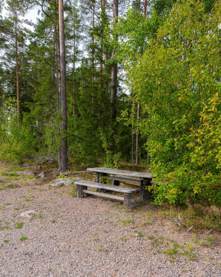 Rastplats med träbänk och bord på grusplan omgiven av tallskog och björkar vid Sjöbo blocksänkor i Ödeshögs kommun.