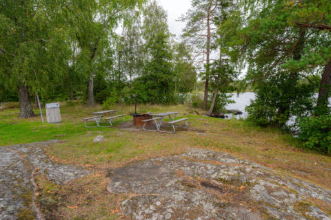 Grillplats med bänkbord och eldring på en bergig udde vid Visjön, omgiven av björkar och barrträd i grön sommarmiljö.