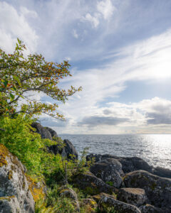 Klippor och ett vindpinat träd vid Vätterns kust nära Öninge hamn i Ödeshög, med solglitter på vattnet och dramatisk himmel.
