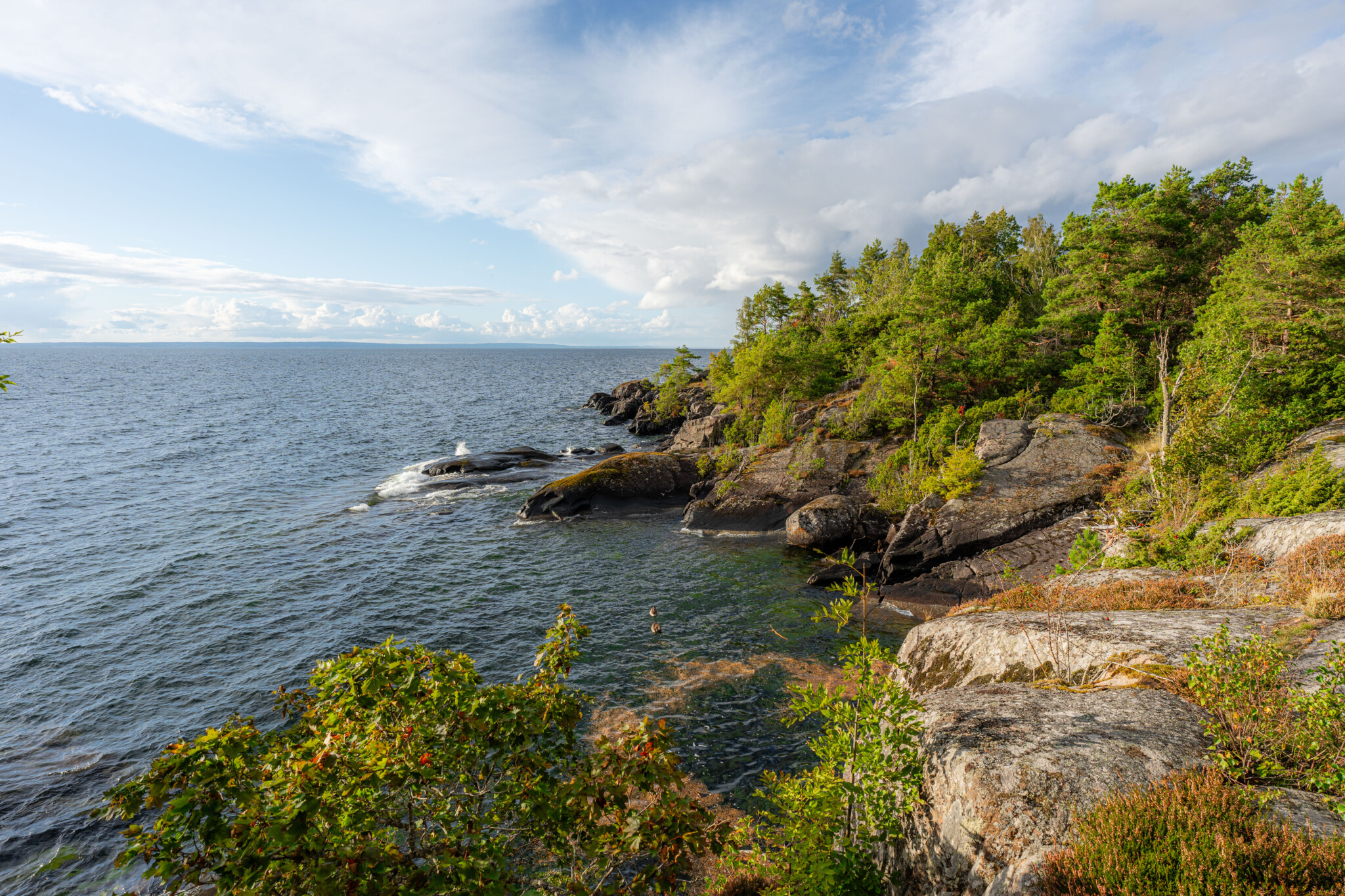 Klippig kust vid Stora Lunds naturreservat med tallbevuxna berg, klart vatten och utsikt över Vättern en sommardag