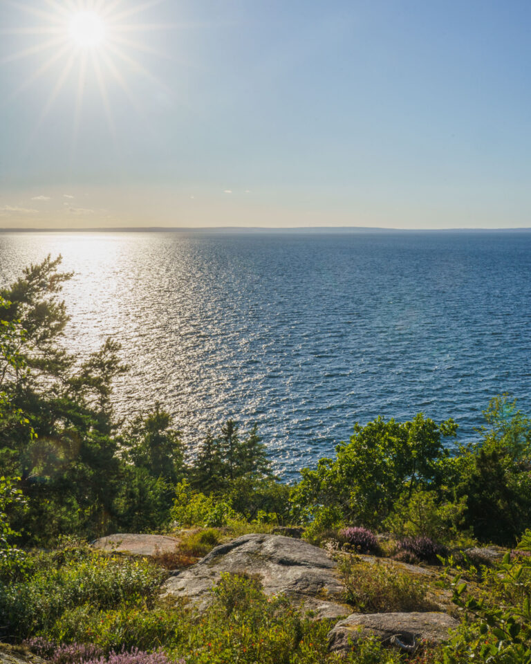 Utsikt över Vättern från klippor vid Kråkeryd naturreservat i solsken, med ljung, grönska och tallar i förgrunden
