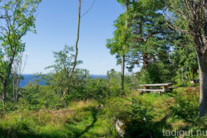 Rastplats med bänkbord på en höjd i Holkaberg och Narbäck naturreservat med utsikt över Vättern genom lummig grönska