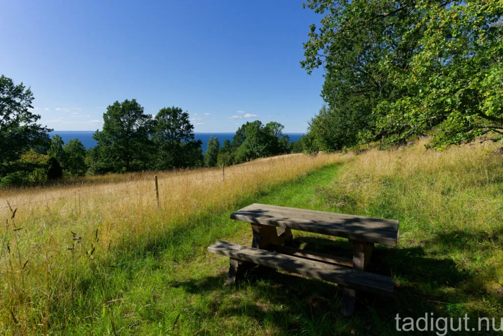 Rastbänk vid södra utsiktsplatsen i Holkaberg och Narbäck naturreservat med utsikt över Vättern genom sommargrön äng och lövträd