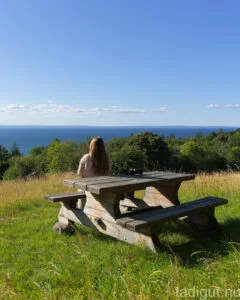 Kvinna sitter vid ett picknickbord på en äng i Holkaberg och Narbäck naturreservat med storslagen utsikt över Vättern en solig dag