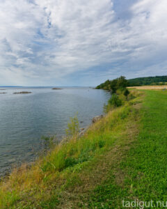 Grönklädd strandkant vid Vättern längs Hästholmenslingan med lugnt vatten, gräsmark och skogsklädd kulle i bakgrunden