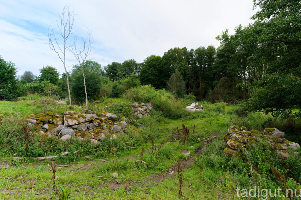 Mossklädda stenmurar och ruiner vid Ålebäcken längs Hästholmenslingan i Ödeshög, omgivna av frodig grönska och lövträd