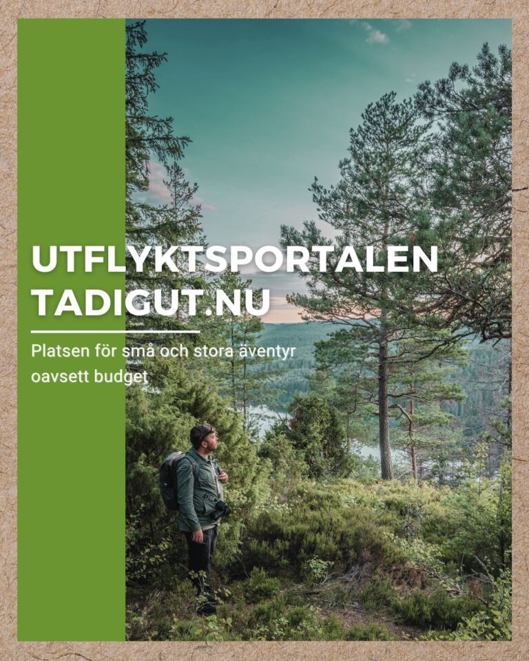Vandrare med ryggsäck blickar ut över skogsbeklätt landskap med sjö, omgiven av tallar och grönska och tadigut.nu loggan.