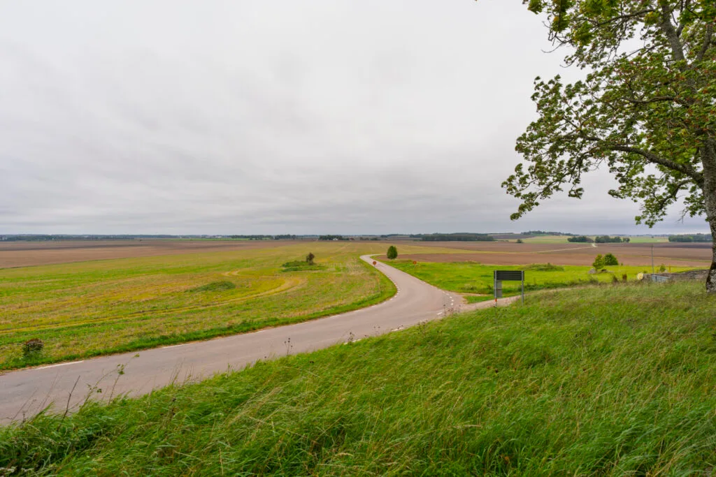 Utsikt över Östgötaslätten från Nässja kyrka med slingrande väg genom gröna åkerlandskap en mulen höstdag.