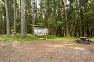 Informationstavla och bänkbord vid parkeringen till Ycke urskog, omgiven av höga granar och mossbeklädd mark i Östergötland