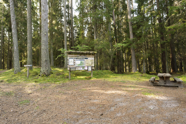 Ycke urskog, parkering väst